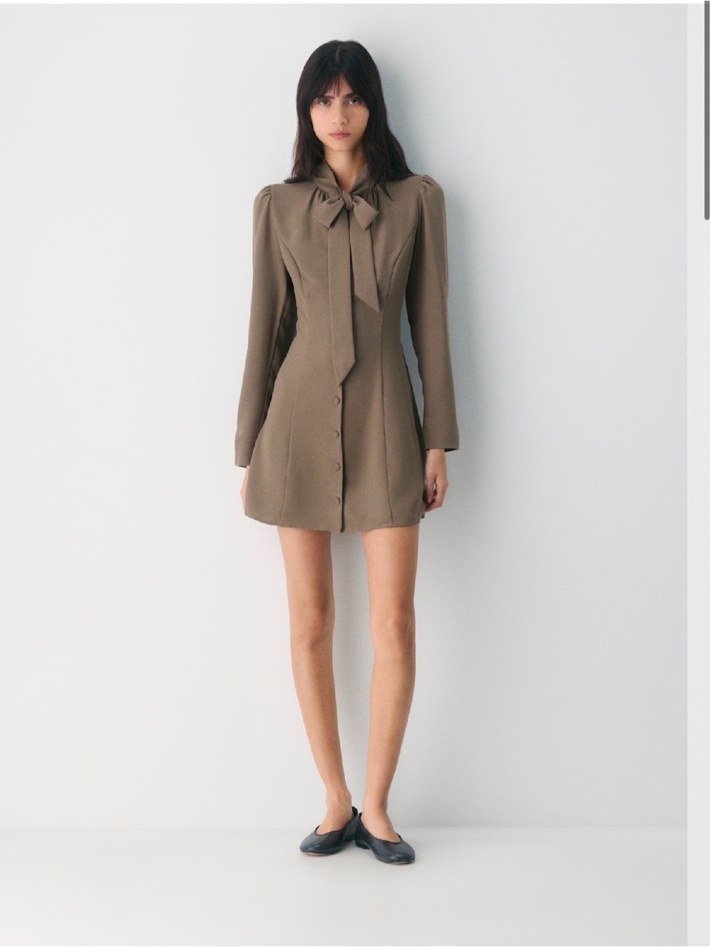 Aritzia Bambi Dress